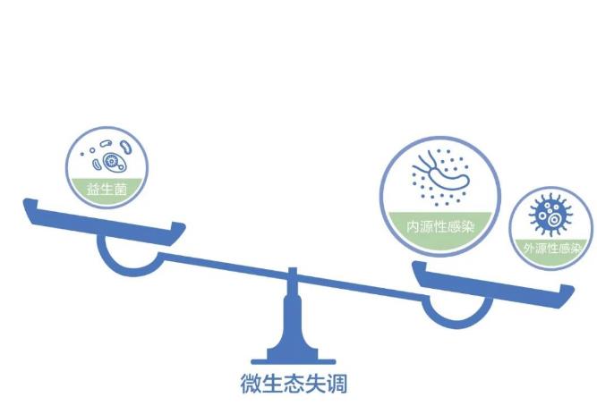 春節(jié)長假“護腸”的正確方式